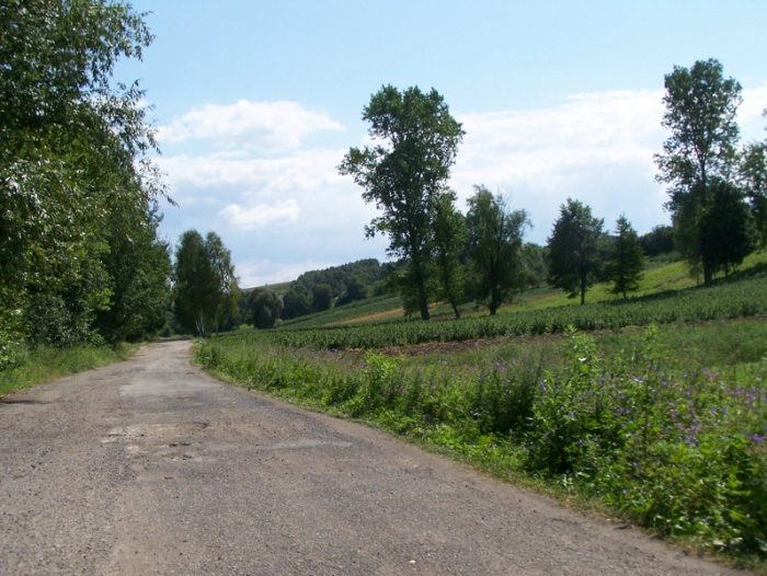 Droga w Woli Studzieńskiej