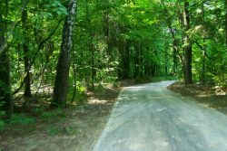 Wąwóz lessowy w Aleksandrówce Wąwóz lessowy w Aleksandrówce