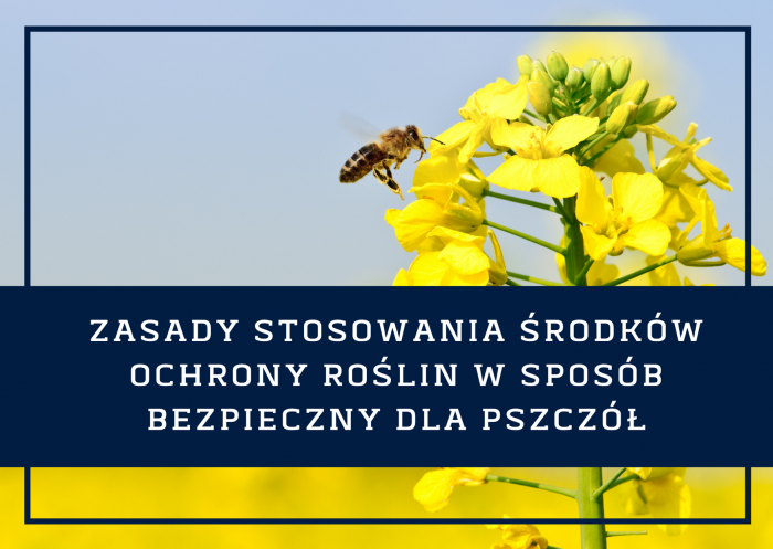 Miniaturka artykułu Komunikat dotyczący zasad stosowania środków ochrony roślin w sposób bezpieczny dla pszczół – Wojewódzki Inspektorat Ochrony Roślin i Nasiennictwa w Lublinie Oddział w Biłgoraju