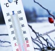 Miniaturka artykułu Apel do mieszkańców Gminy Batorz !!!