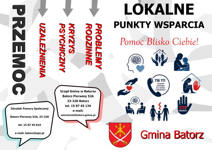 Miniaturka artykułu Lokalne Punkty Wsparcia