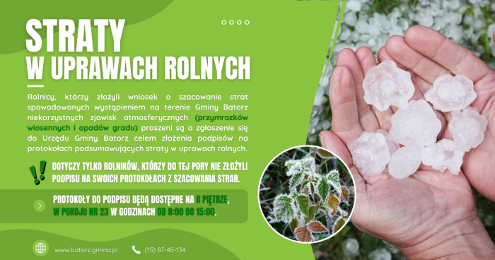 Miniaturka artykułu Informacja dla rolników, którzy ponieśli straty w wyniku wystąpienia przymrozków wiosennych i opadów gradu